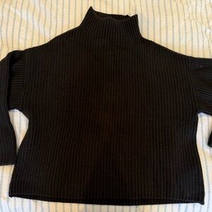 Everlane Turtleneck Sweater